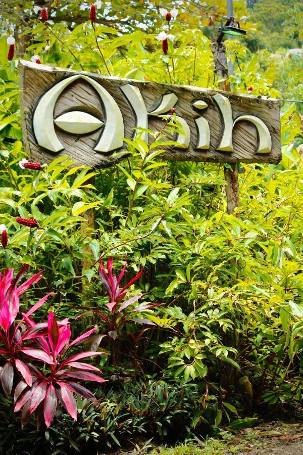 Akih Pods Hostel Playa Santa Teresa  المظهر الخارجي الصورة